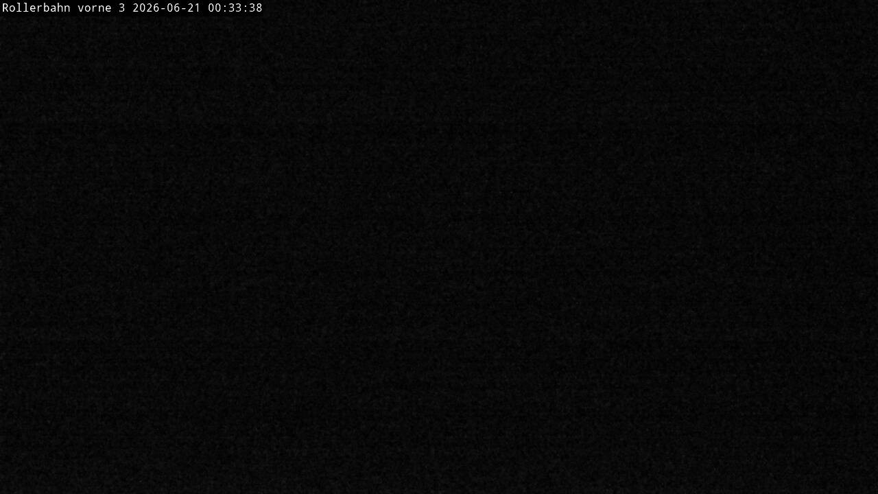 Archiv Foto Webcam Willingen - Blick Rollerbahn der Biathlon Arena