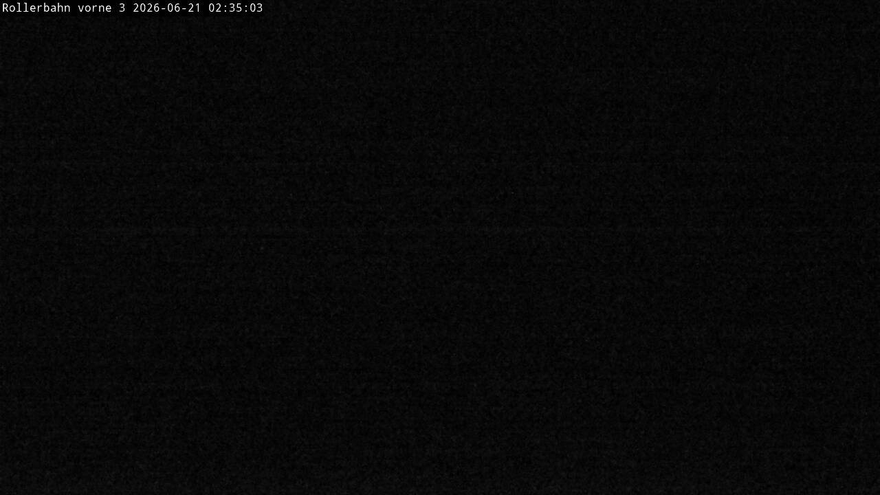 Archiv Foto Webcam Willingen - Blick Rollerbahn der Biathlon Arena