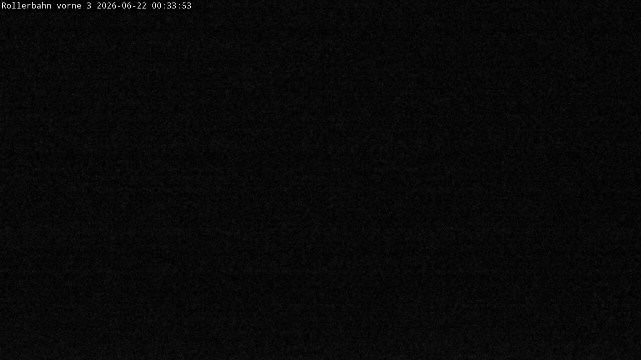 Archiv Foto Webcam Willingen - Blick Rollerbahn der Biathlon Arena