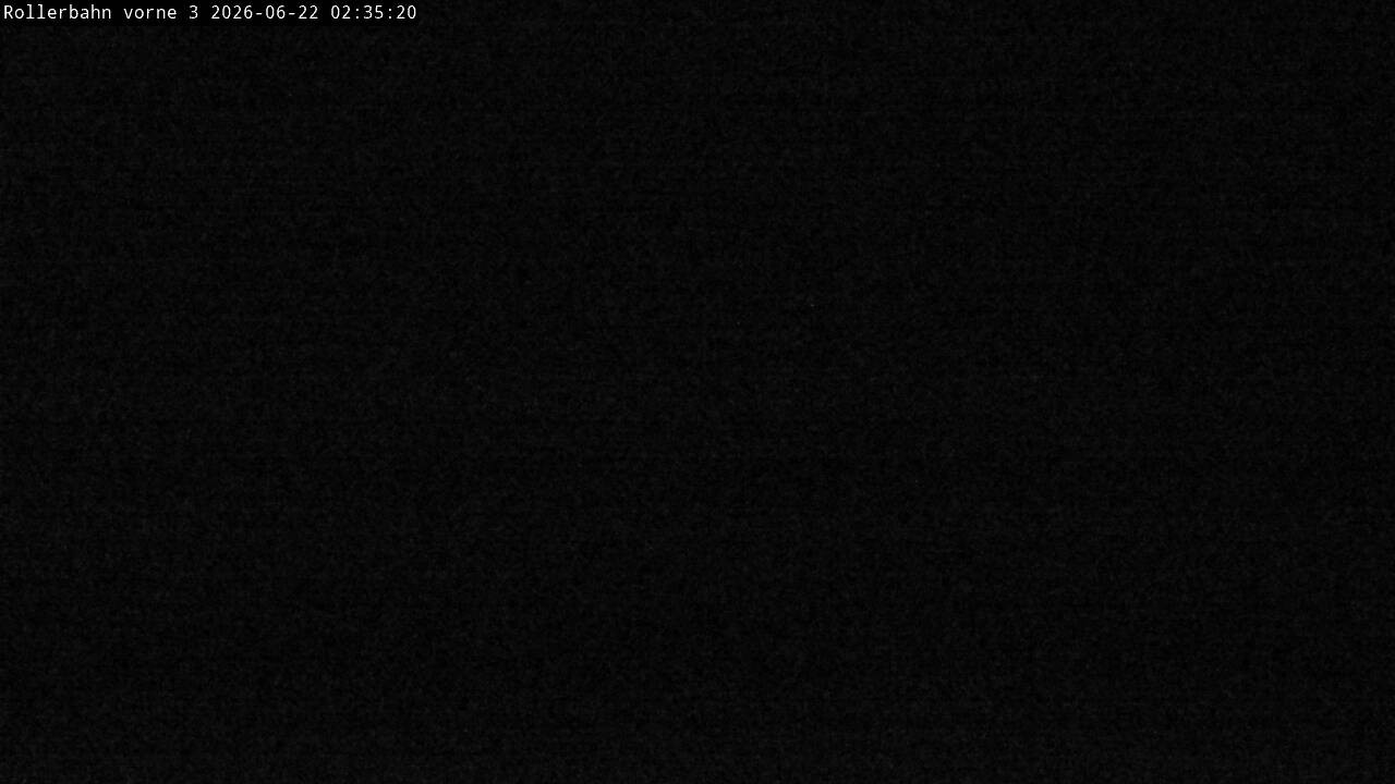 Archiv Foto Webcam Willingen - Blick Rollerbahn der Biathlon Arena