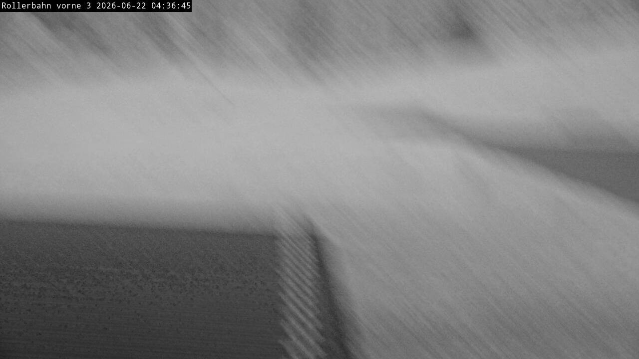 Archiv Foto Webcam Willingen - Blick Rollerbahn der Biathlon Arena