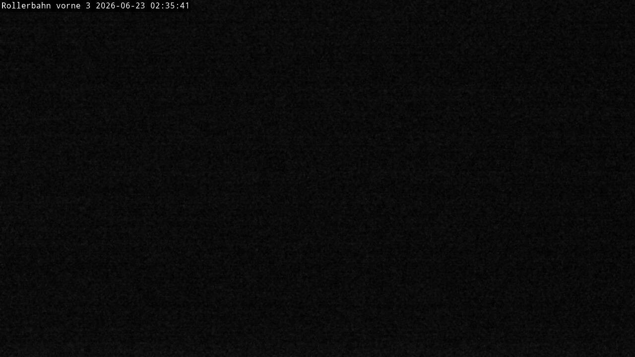 Archived image Webcam Willingen - View Roller Ski in Biathlon Arena
