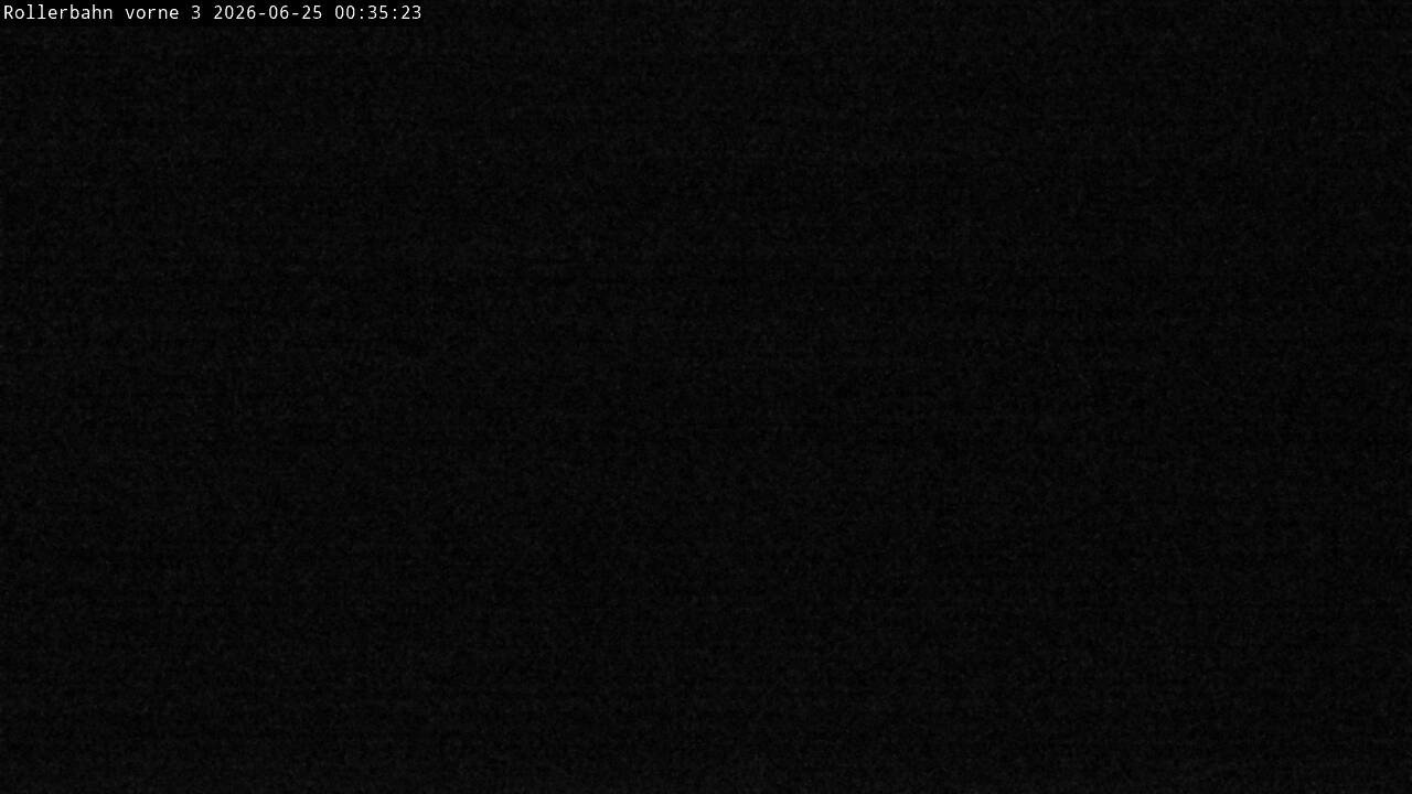 Archived image Webcam Willingen - View Roller Ski in Biathlon Arena