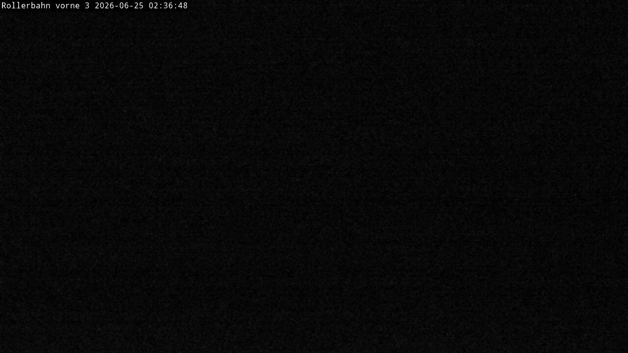 Archived image Webcam Willingen - View Roller Ski in Biathlon Arena