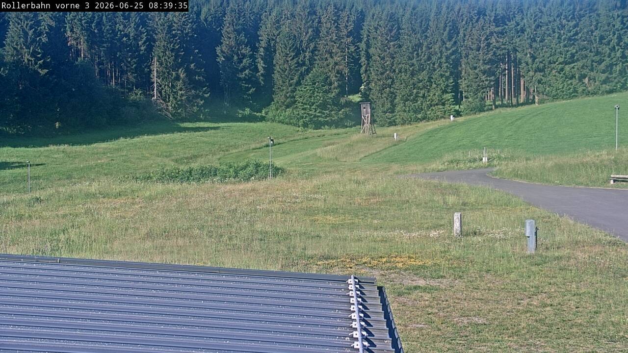 Archived image Webcam Willingen - View Roller Ski in Biathlon Arena