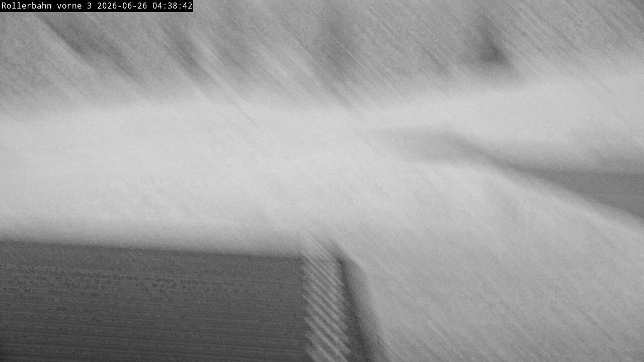 Archived image Webcam Willingen - View Roller Ski in Biathlon Arena