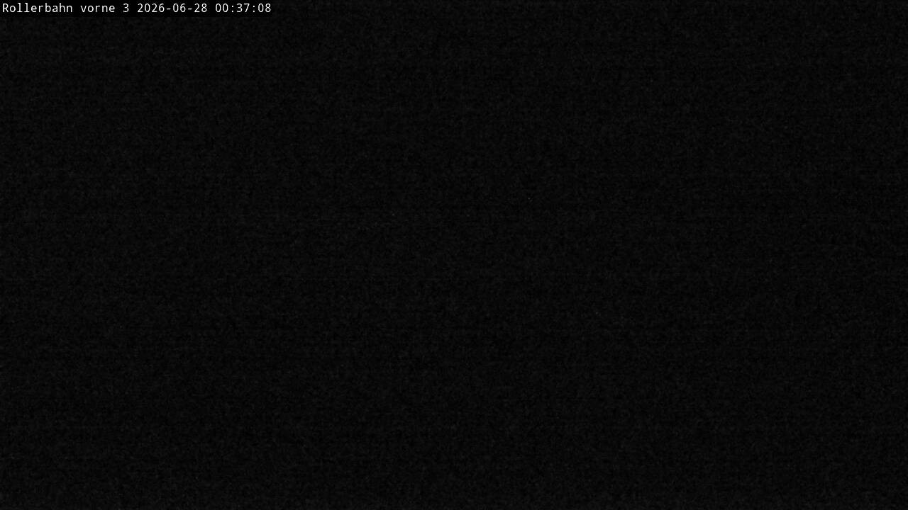 Archiv Foto Webcam Willingen - Blick Rollerbahn der Biathlon Arena