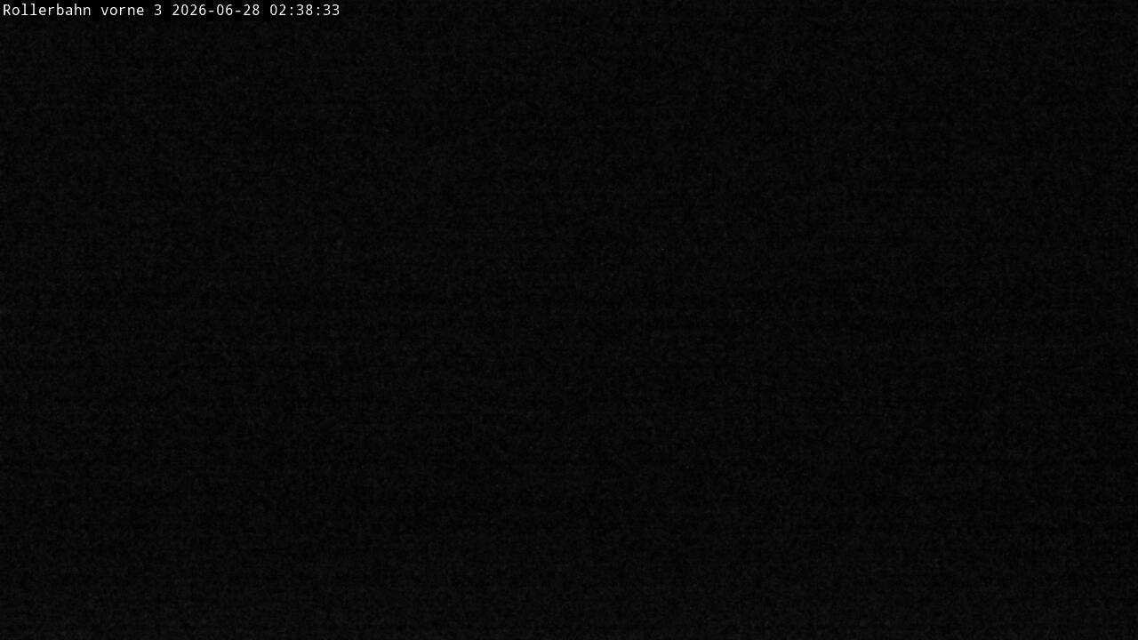 Archiv Foto Webcam Willingen - Blick Rollerbahn der Biathlon Arena