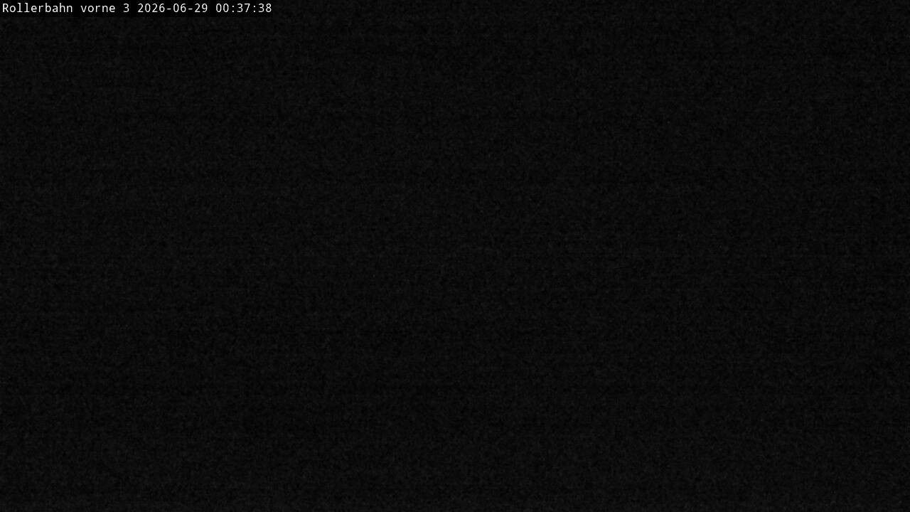 Archiv Foto Webcam Willingen - Blick Rollerbahn der Biathlon Arena