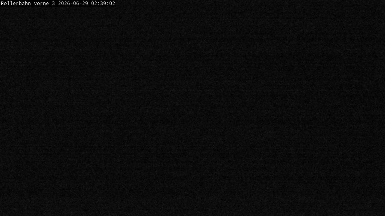 Archiv Foto Webcam Willingen - Blick Rollerbahn der Biathlon Arena