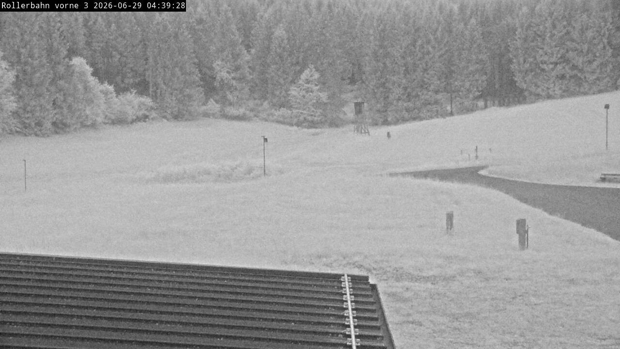 Archiv Foto Webcam Willingen - Blick Rollerbahn der Biathlon Arena