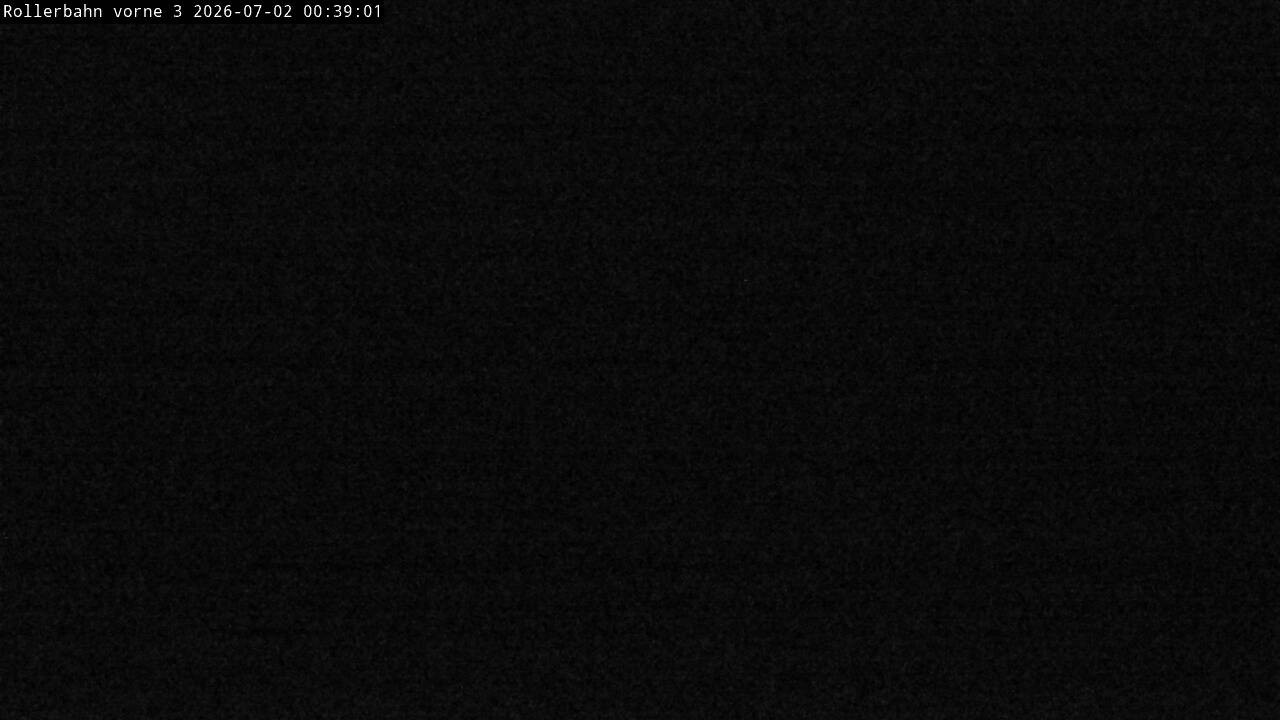 Archiv Foto Webcam Willingen - Blick Rollerbahn der Biathlon Arena