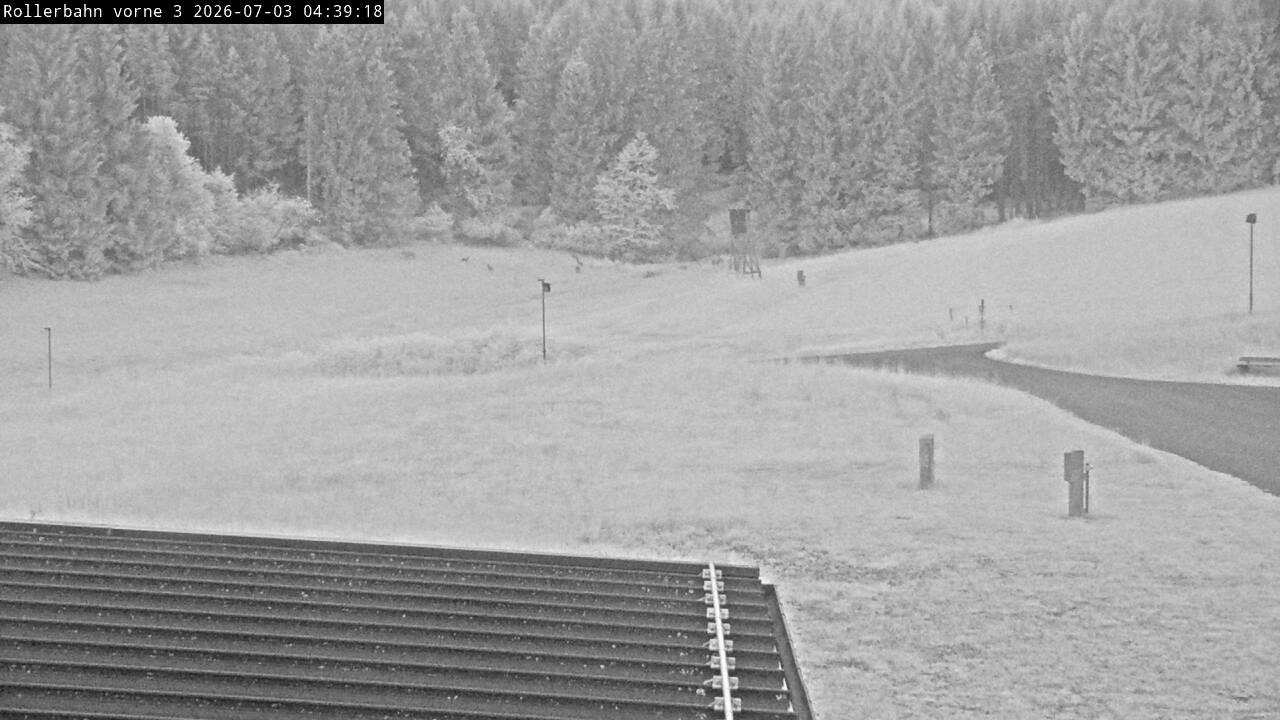 Archived image Webcam Willingen - View Roller Ski in Biathlon Arena