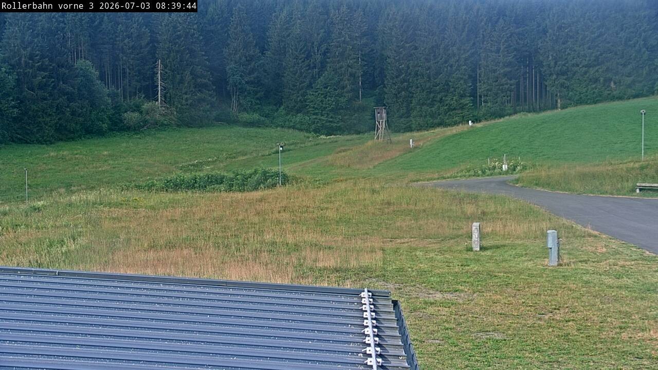 Archived image Webcam Willingen - View Roller Ski in Biathlon Arena