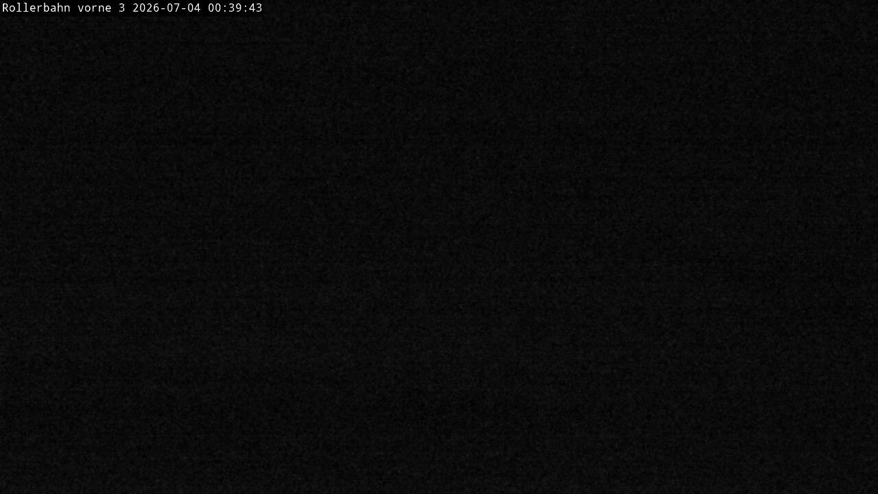 Archiv Foto Webcam Willingen - Blick Rollerbahn der Biathlon Arena