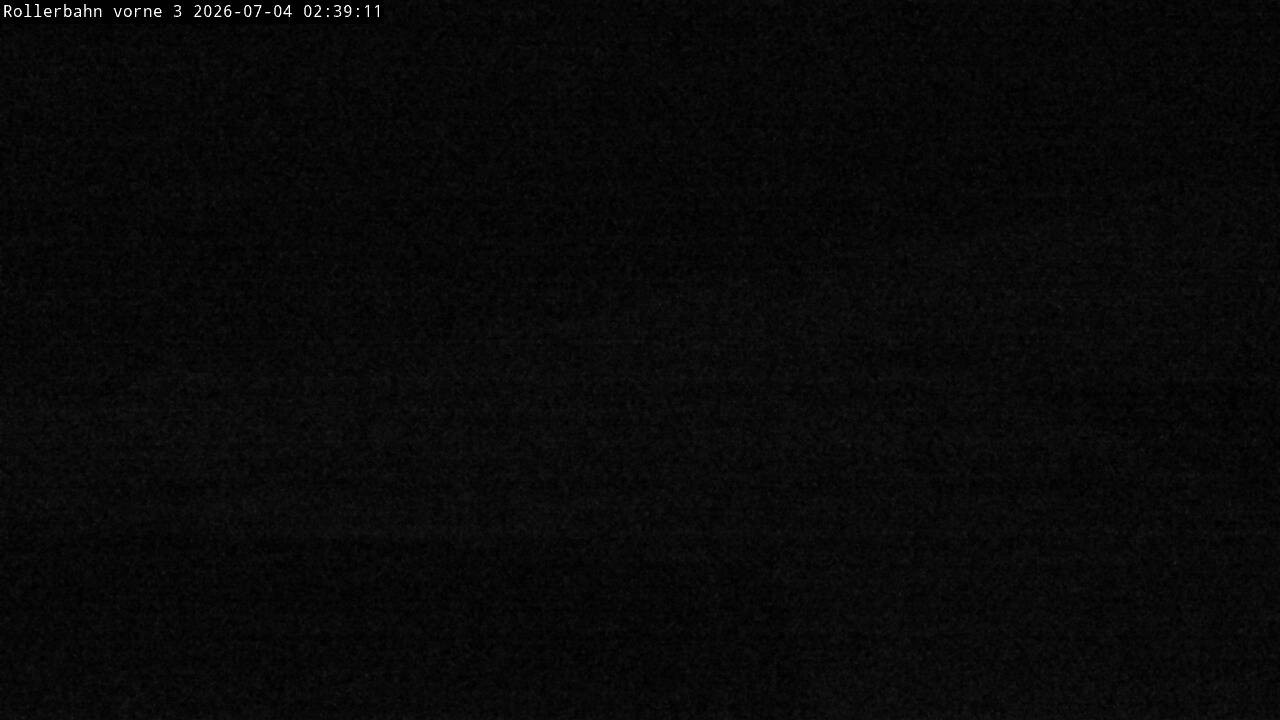 Archiv Foto Webcam Willingen - Blick Rollerbahn der Biathlon Arena