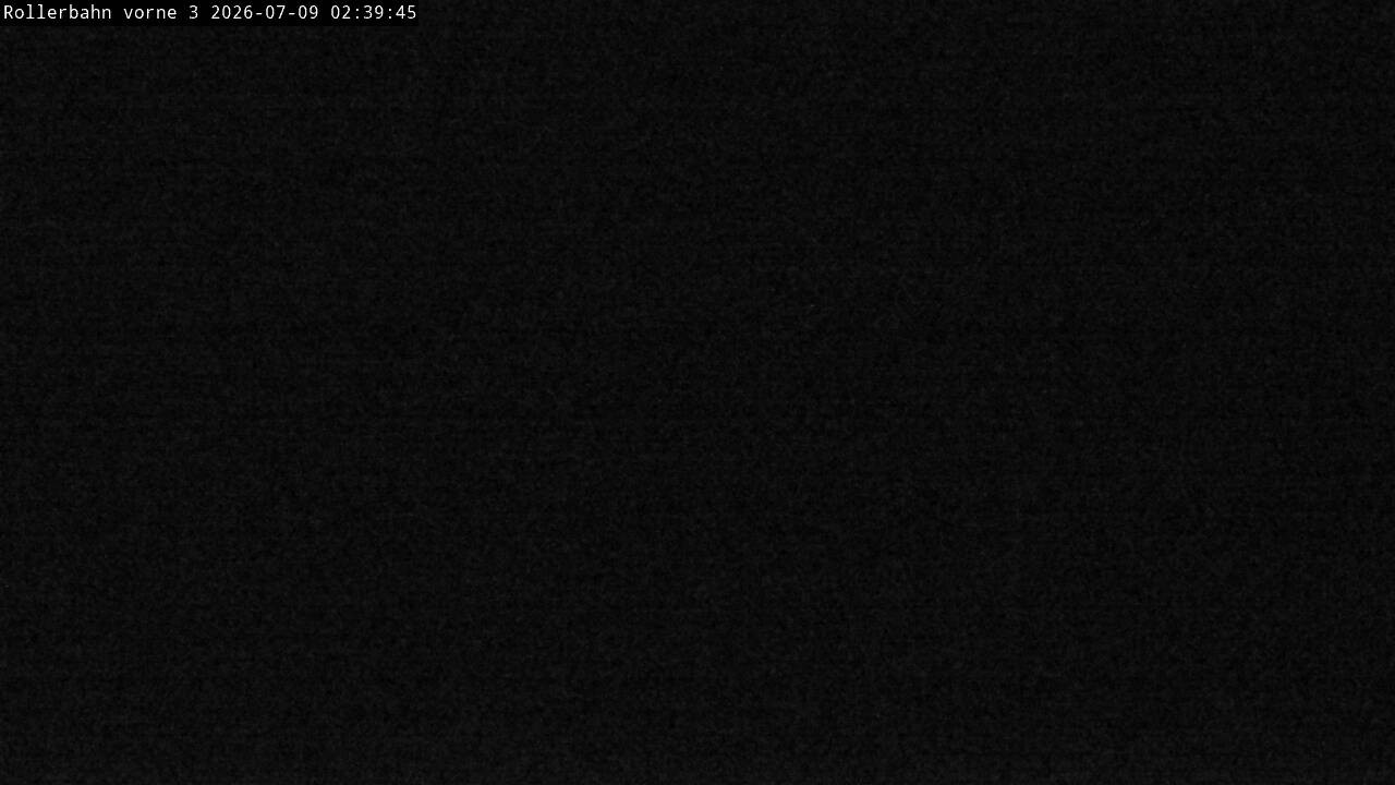 Archived image Webcam Willingen - View Roller Ski in Biathlon Arena
