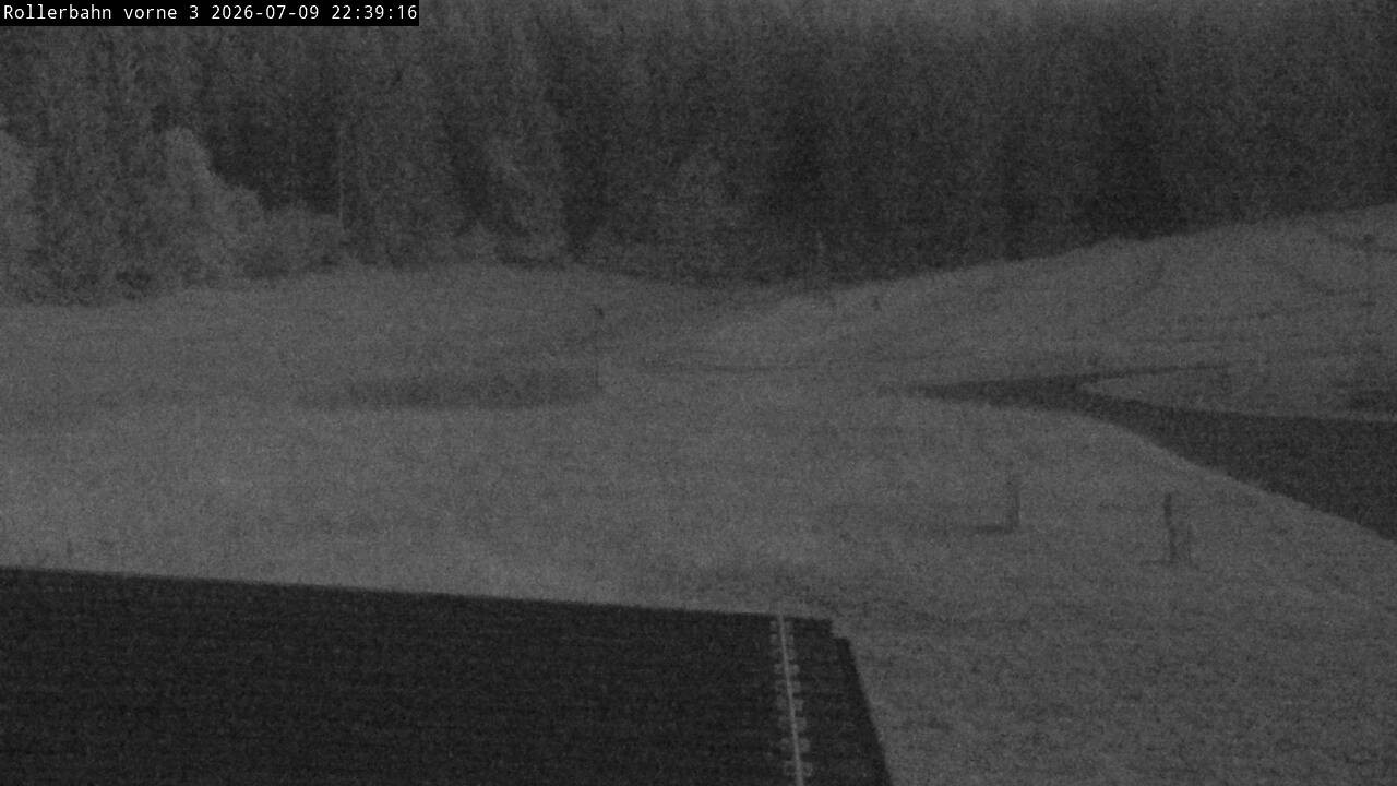 Archiv Foto Webcam Willingen - Blick Rollerbahn der Biathlon Arena
