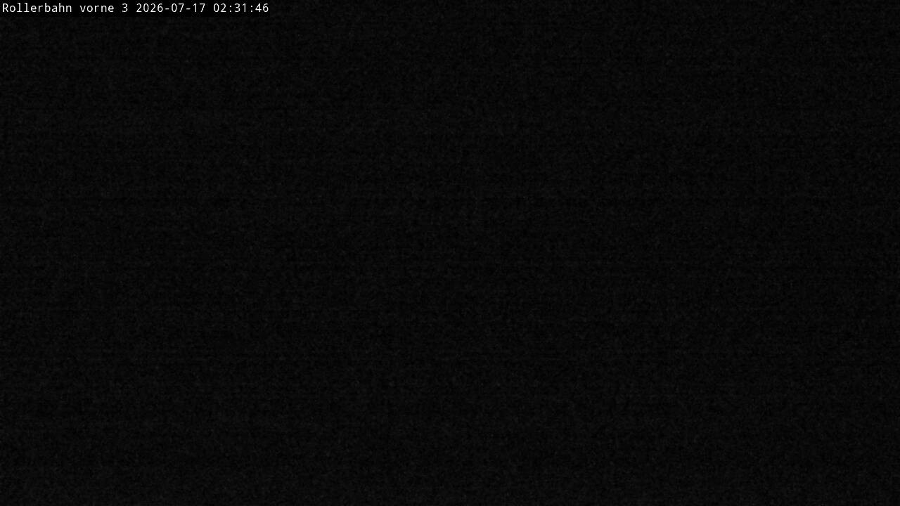 Archiv Foto Webcam Willingen - Blick Rollerbahn der Biathlon Arena