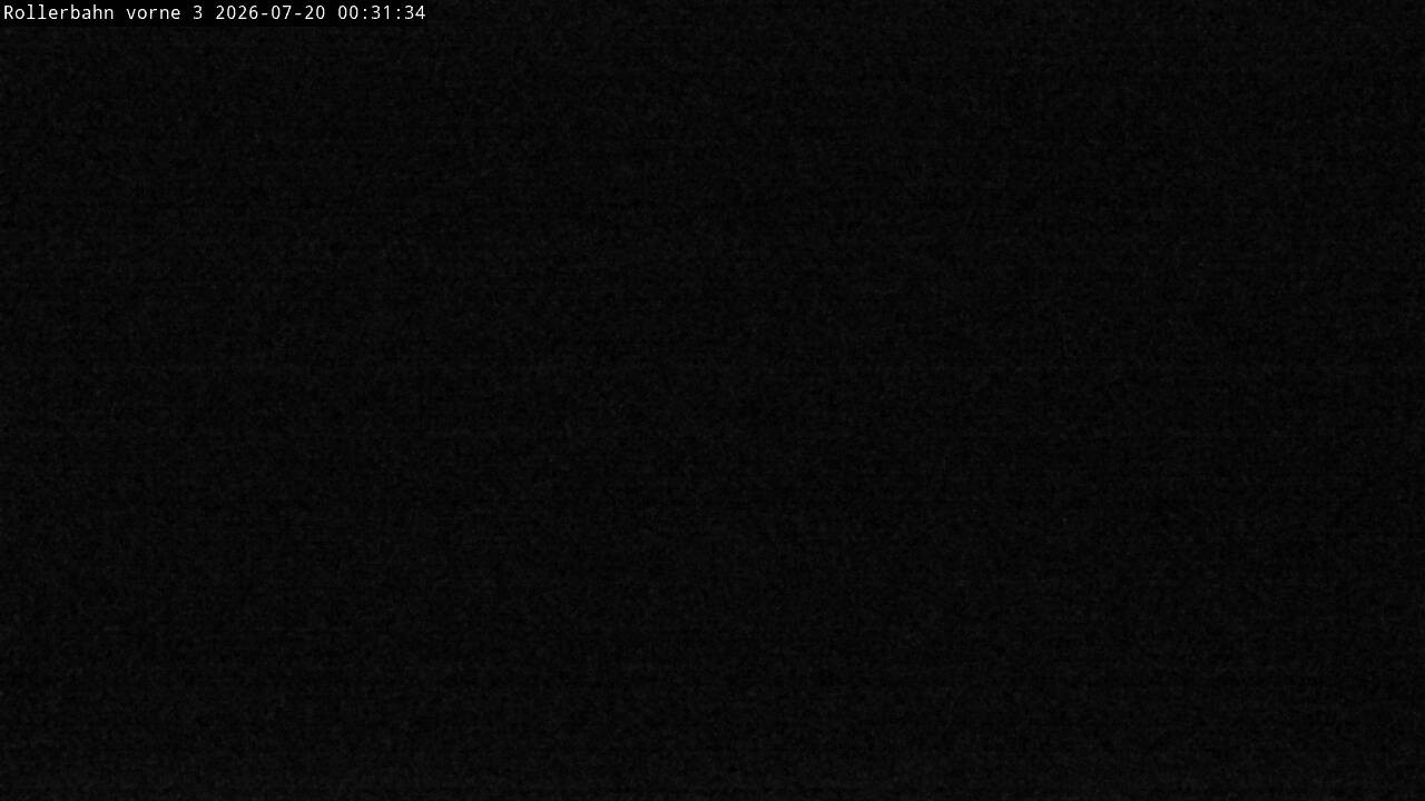 Archiv Foto Webcam Willingen - Blick Rollerbahn der Biathlon Arena
