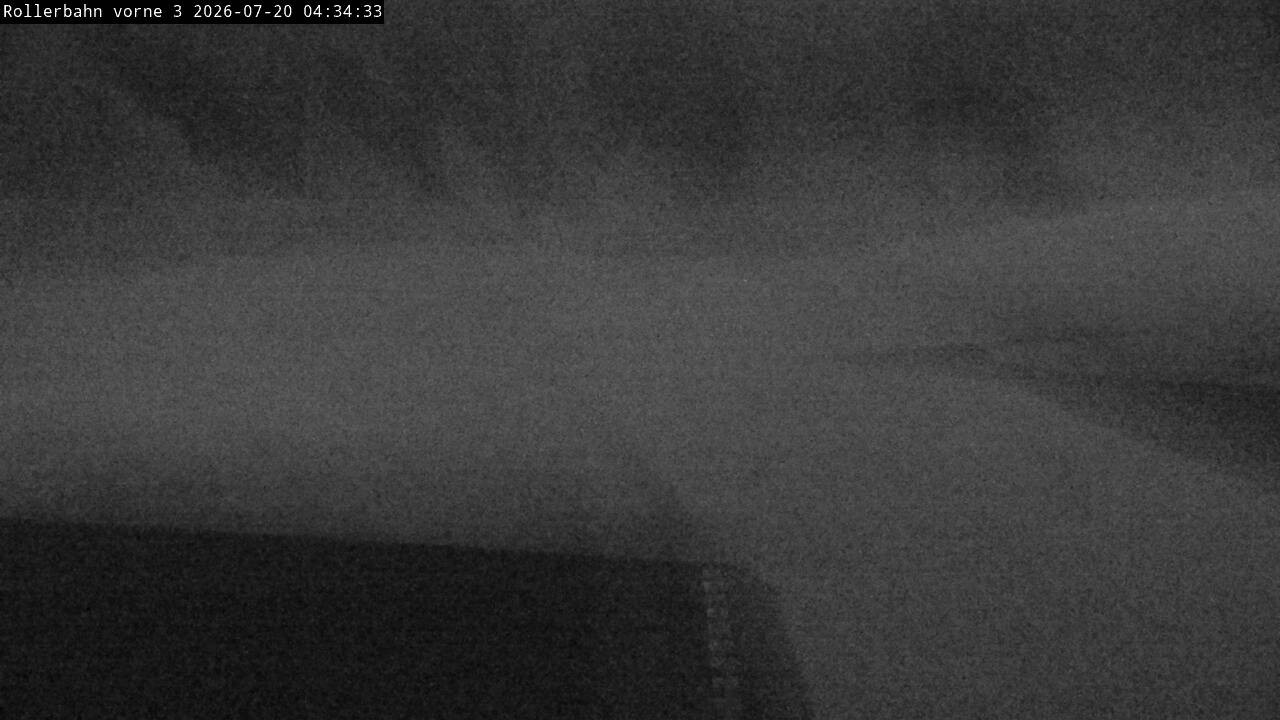Archiv Foto Webcam Willingen - Blick Rollerbahn der Biathlon Arena