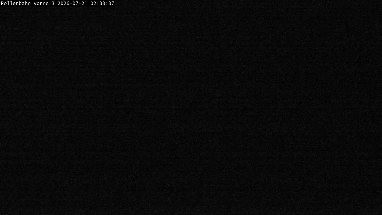 Archiv Foto Webcam Willingen - Blick Rollerbahn der Biathlon Arena
