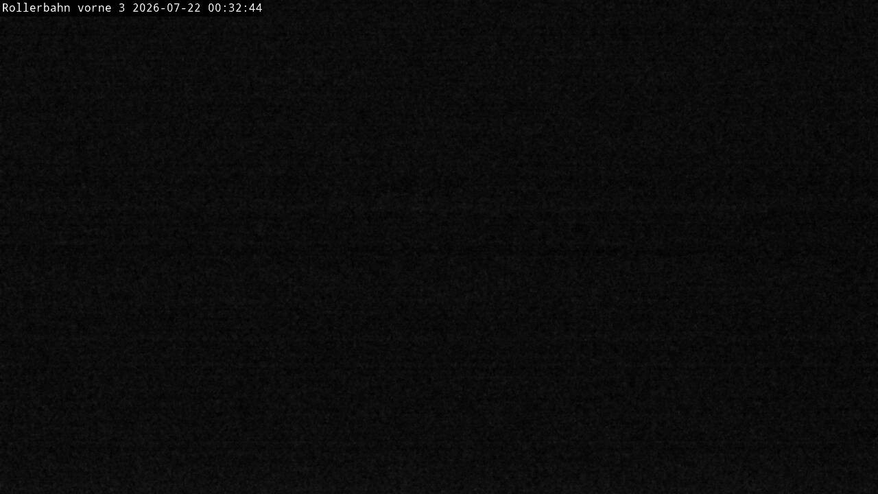 Archiv Foto Webcam Willingen - Blick Rollerbahn der Biathlon Arena