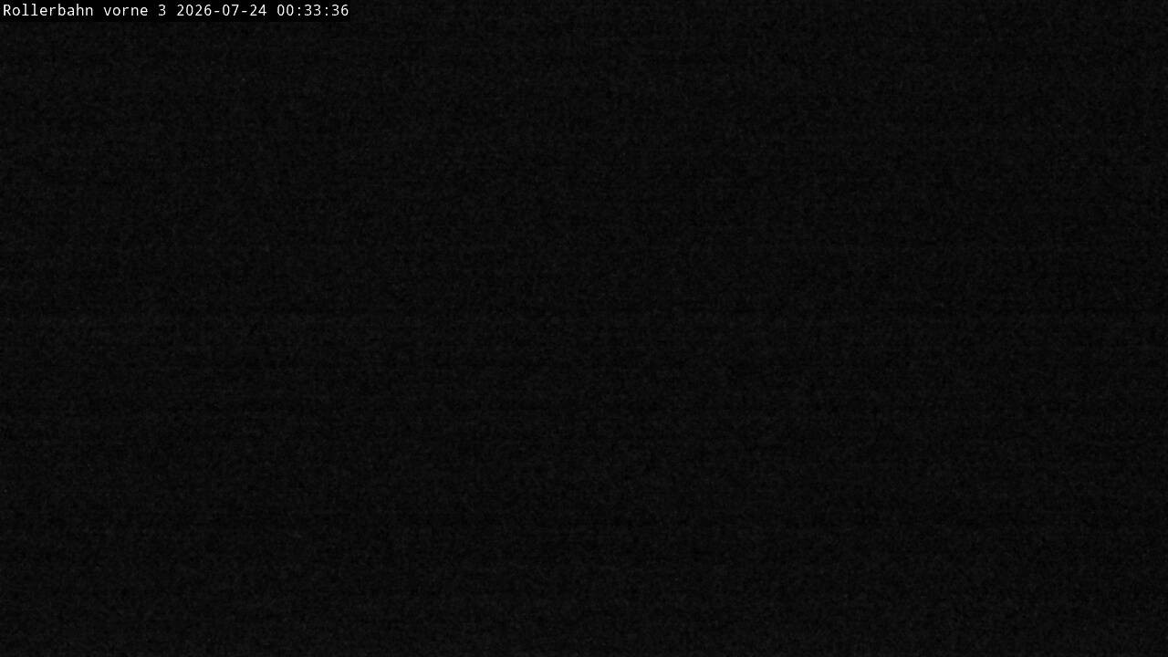Archiv Foto Webcam Willingen - Blick Rollerbahn der Biathlon Arena