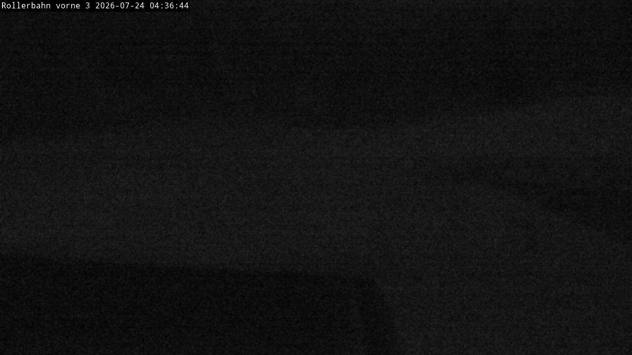 Archiv Foto Webcam Willingen - Blick Rollerbahn der Biathlon Arena