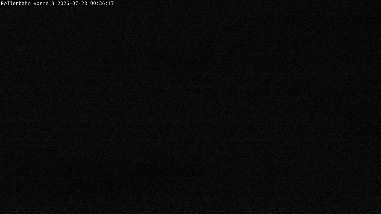 Archiv Foto Webcam Willingen - Blick Rollerbahn der Biathlon Arena