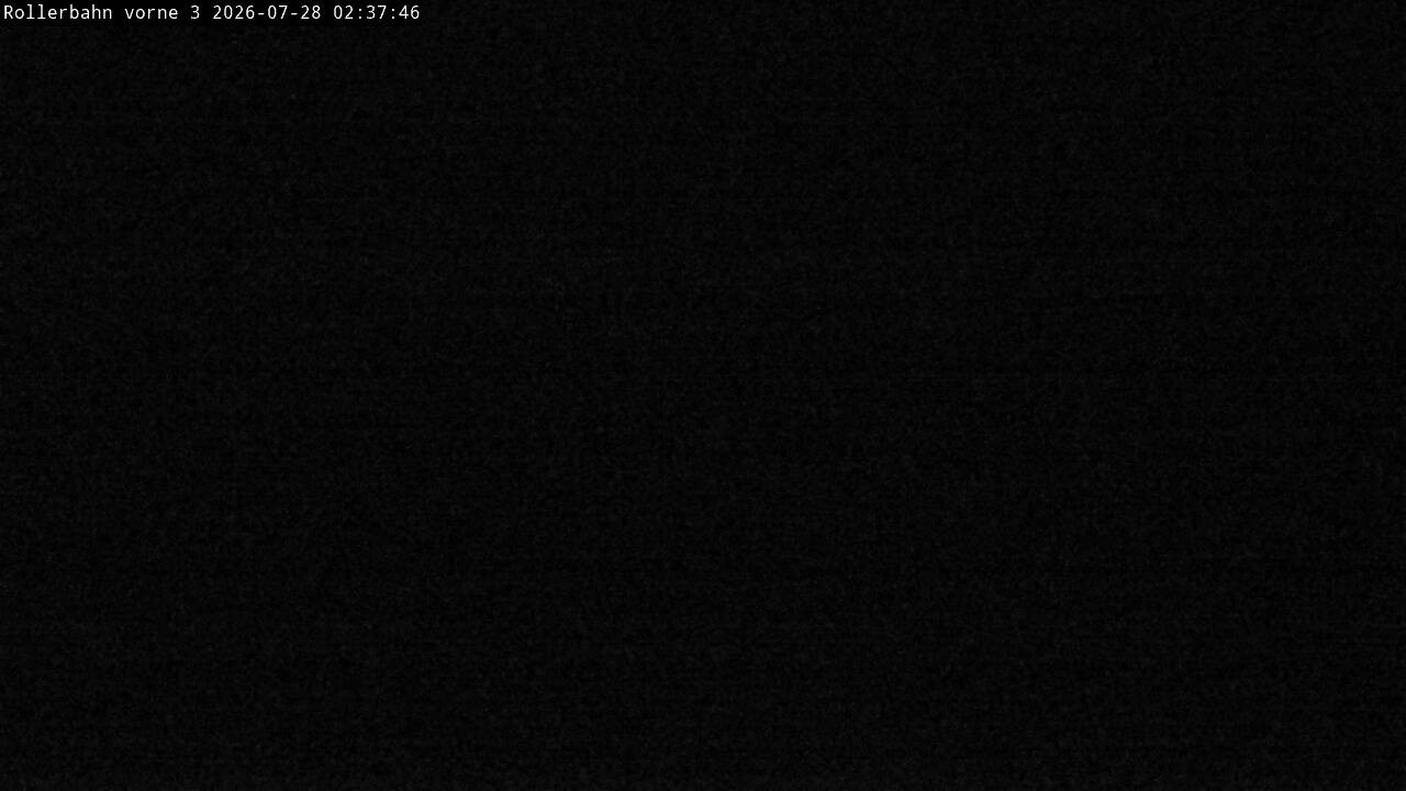 Archiv Foto Webcam Willingen - Blick Rollerbahn der Biathlon Arena