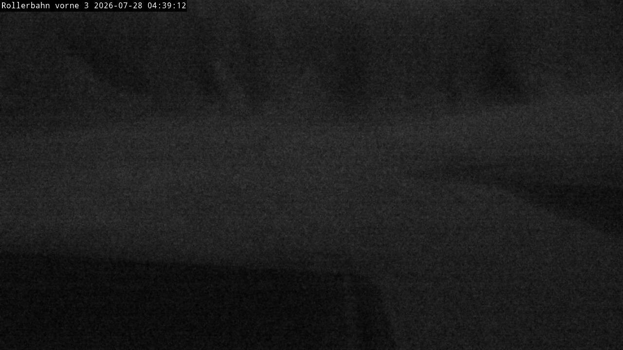 Archiv Foto Webcam Willingen - Blick Rollerbahn der Biathlon Arena