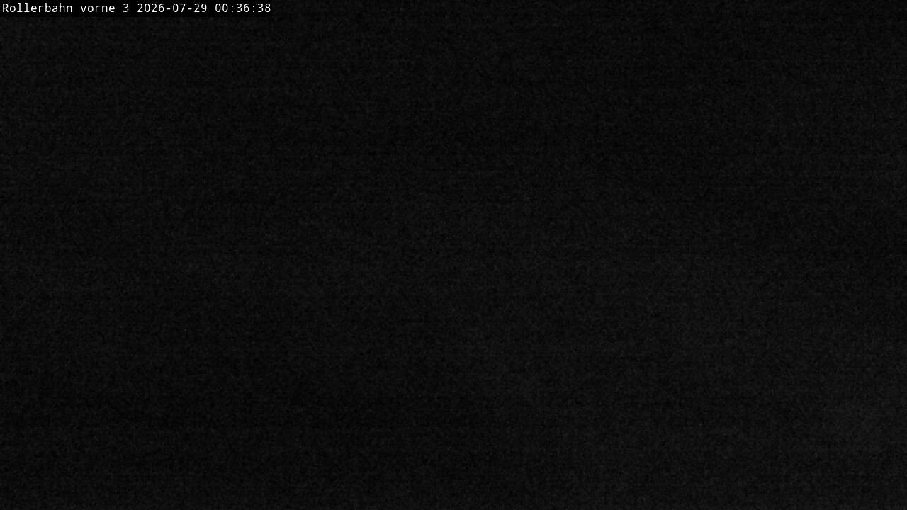 Archiv Foto Webcam Willingen - Blick Rollerbahn der Biathlon Arena
