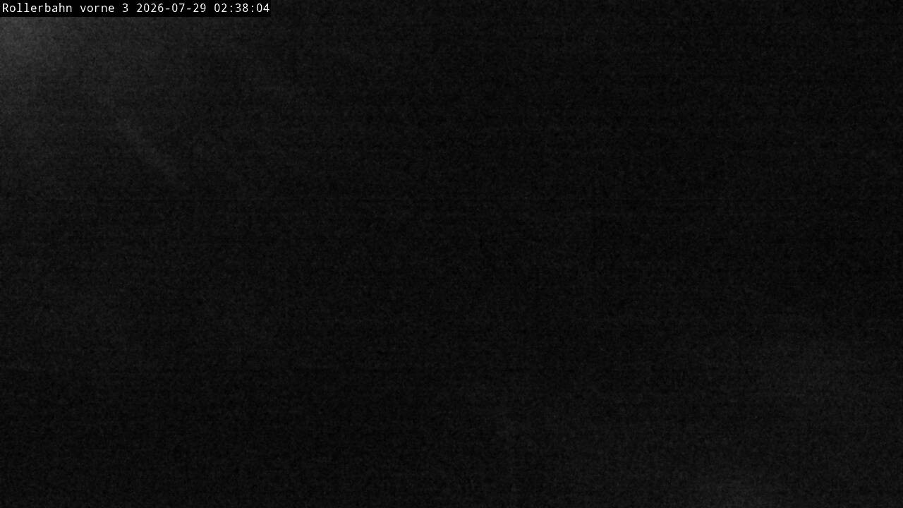 Archiv Foto Webcam Willingen - Blick Rollerbahn der Biathlon Arena