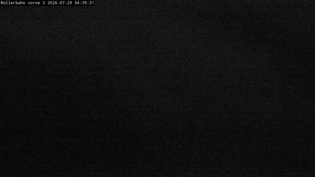 Archiv Foto Webcam Willingen - Blick Rollerbahn der Biathlon Arena