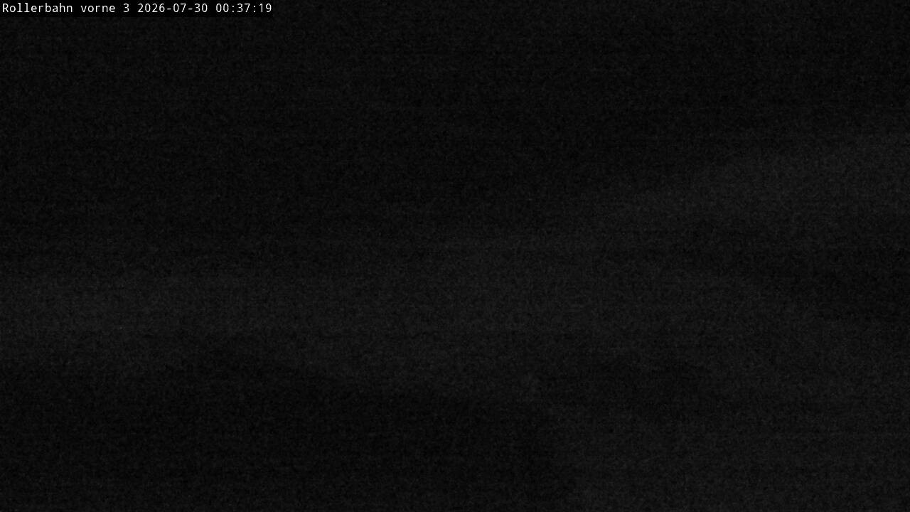 Archiv Foto Webcam Willingen - Blick Rollerbahn der Biathlon Arena