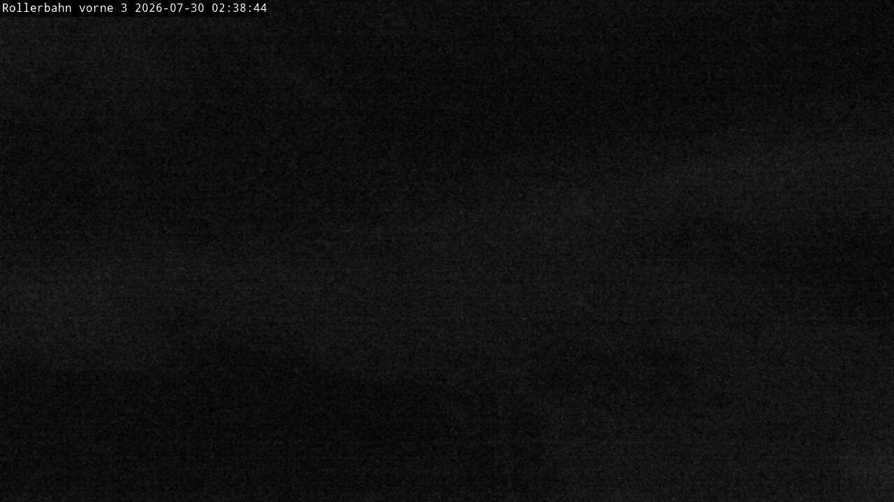 Archiv Foto Webcam Willingen - Blick Rollerbahn der Biathlon Arena