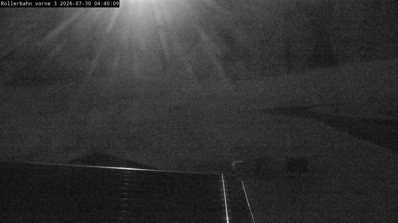Archiv Foto Webcam Willingen - Blick Rollerbahn der Biathlon Arena