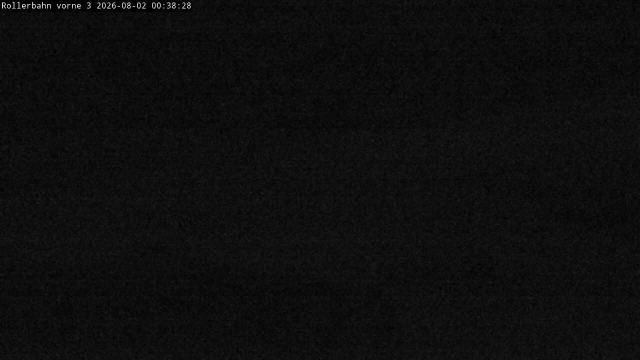 Archiv Foto Webcam Willingen - Blick Rollerbahn der Biathlon Arena