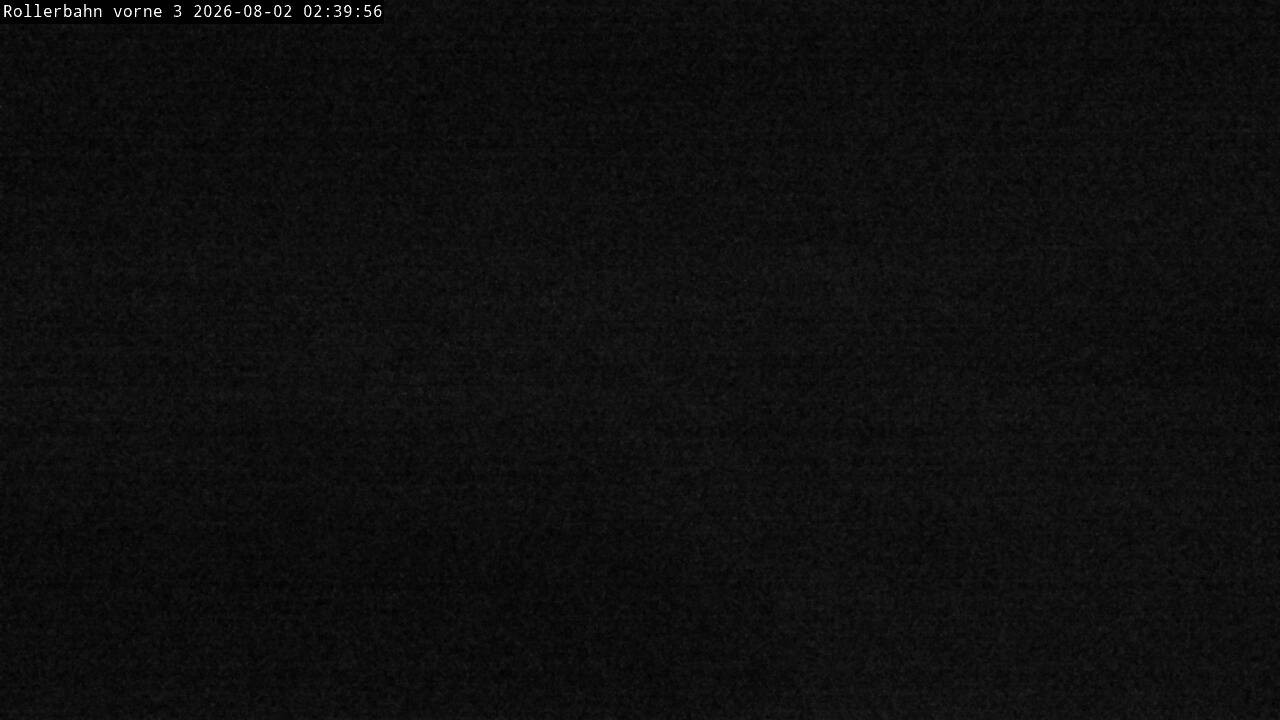 Archiv Foto Webcam Willingen - Blick Rollerbahn der Biathlon Arena