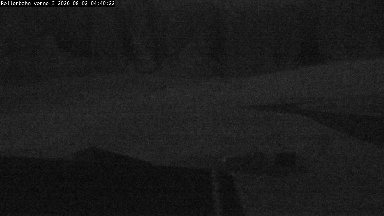 Archiv Foto Webcam Willingen - Blick Rollerbahn der Biathlon Arena