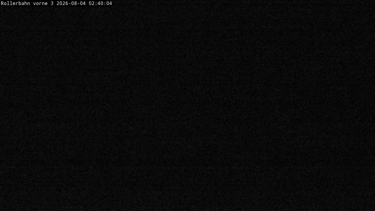 Archived image Webcam Willingen - View Roller Ski in Biathlon Arena