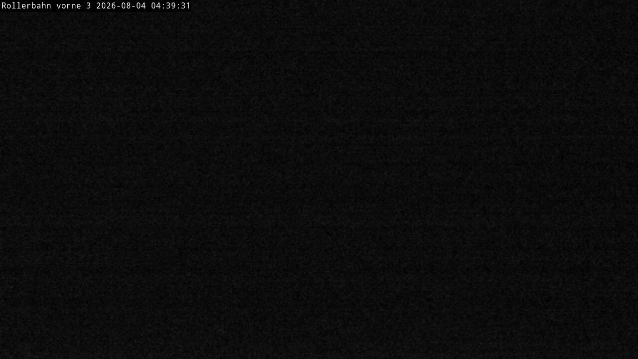 Archived image Webcam Willingen - View Roller Ski in Biathlon Arena