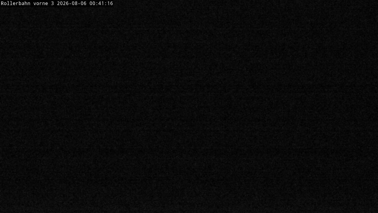 Archiv Foto Webcam Willingen - Blick Rollerbahn der Biathlon Arena