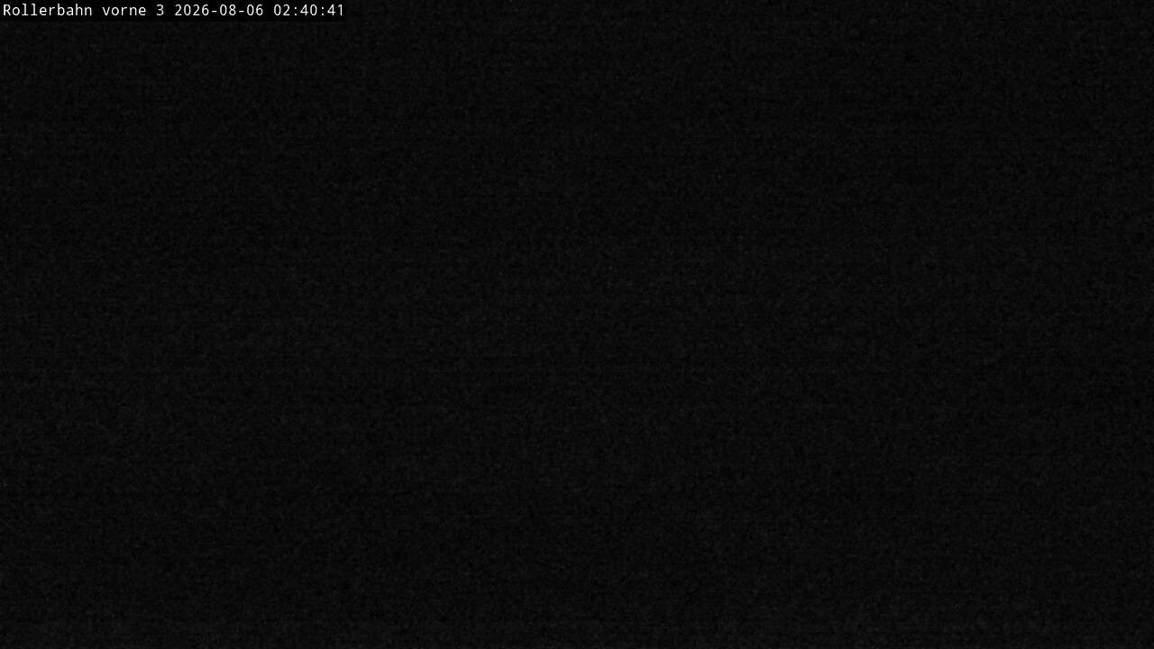 Archiv Foto Webcam Willingen - Blick Rollerbahn der Biathlon Arena