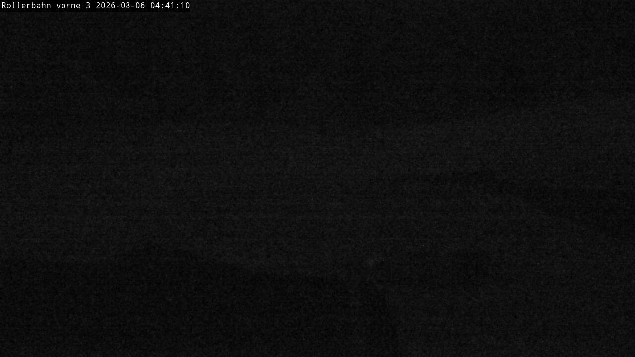 Archiv Foto Webcam Willingen - Blick Rollerbahn der Biathlon Arena