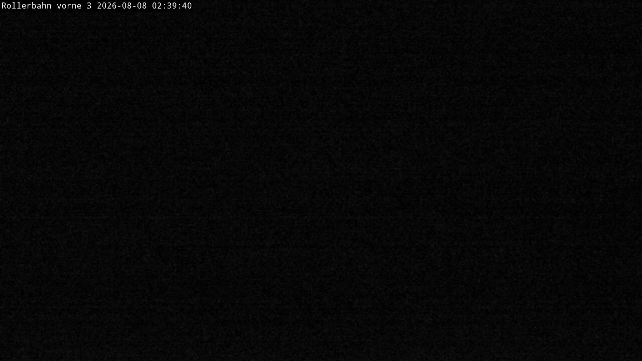 Archived image Webcam Willingen - View Roller Ski in Biathlon Arena