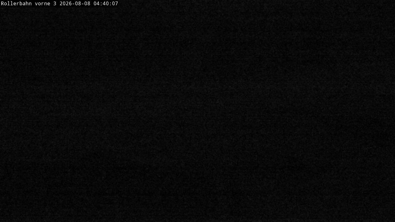 Archived image Webcam Willingen - View Roller Ski in Biathlon Arena