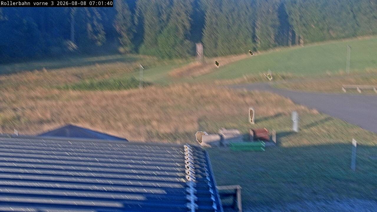 Archived image Webcam Willingen - View Roller Ski in Biathlon Arena
