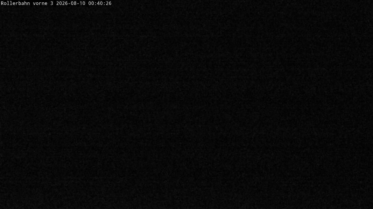 Archiv Foto Webcam Willingen - Blick Rollerbahn der Biathlon Arena